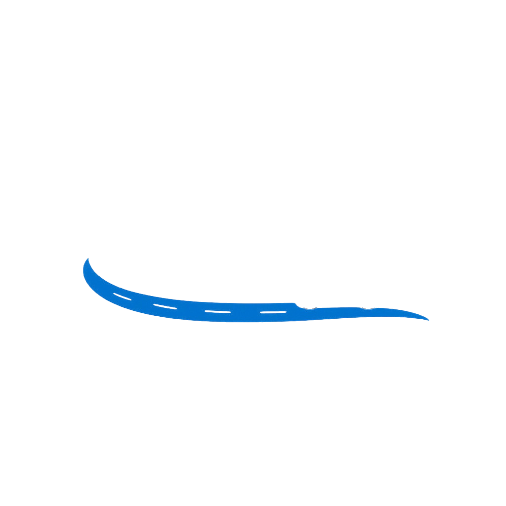 Sandu Umzug Berlin – Logo